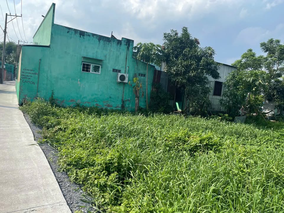 Bán đất CLN 1693m² mặt tiền 21m - Đầu tư sinh lời tại Bình Chánh!