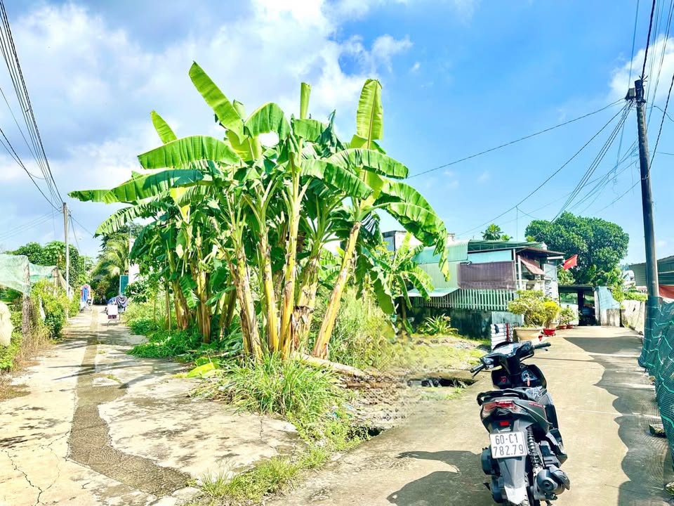 Đất thổ cư 100m² tại Hố Nai, Biên Hòa - Sổ đỏ chính chủ, giá chỉ 1 tỷ thương lượng!