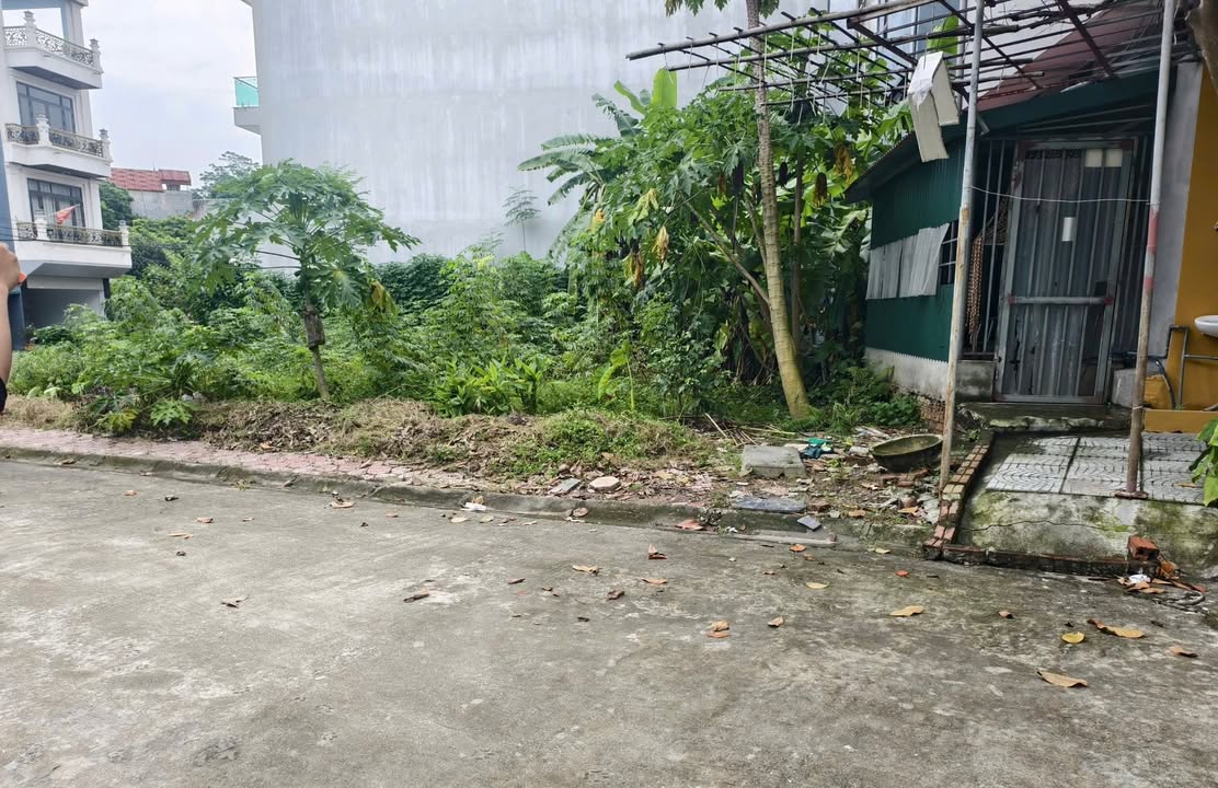 Đất nền đường Quang Trung, Việt Trì 91,7m² giá chỉ 5 tỷ – Sẵn sàng đầu tư!