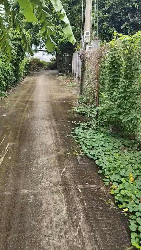 Đất nền Đất Đỏ 130m² giá thỏa thuận - Cơ hội đầu tư hấp dẫn!