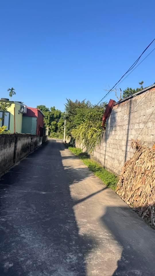 Đất nền đẹp tại Đặng Cương, An Dương 65m² - Đầu tư sinh lời ngay!