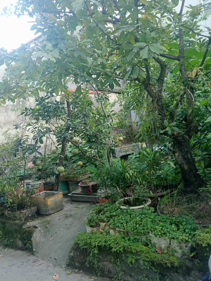 Lô đất Ngọc Thụy 34m² giá 5.3 tỷ - Ô tô đỗ cửa, gần công viên!