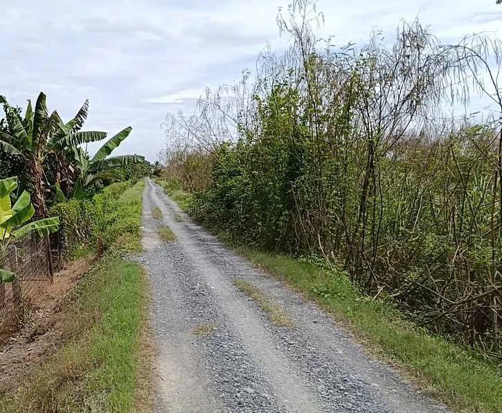 Đất sầu riêng Đốc Bình Kiều 36.000m² giá 7,5 tỷ - Tiềm năng sinh lời cao!