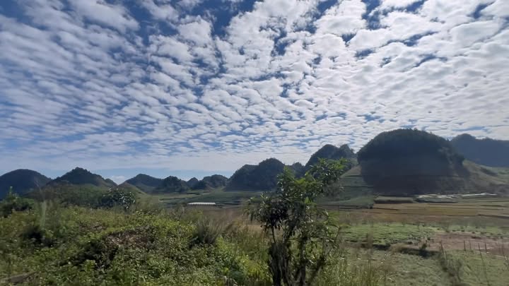 Đất Vân Hồ - Sơn La 1577m² giá 5 tỷ - Đầu tư sinh lời ngay!