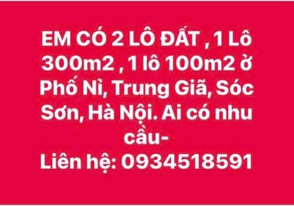 Đất nền 300m² và 100m² tại Phố Nỉ, Trung Giã, Sóc Sơn - Cơ hội đầu tư hấp dẫn!