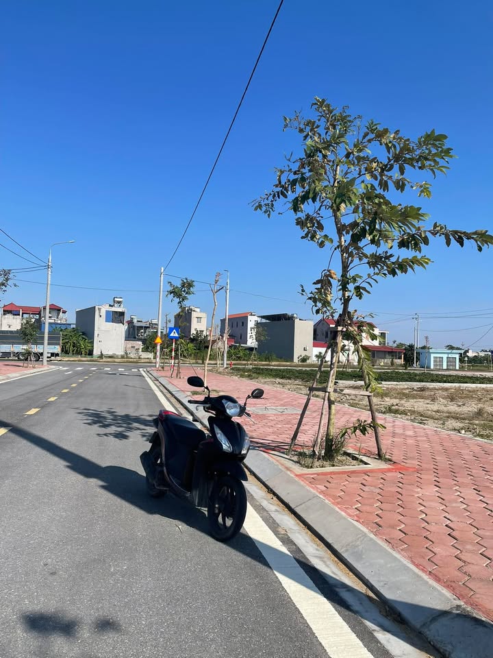 Đất nền khu dân cư Hợp Hưng Vụ Bản 100m² giá chỉ 1.6 tỷ - Sổ đỏ chính chủ!