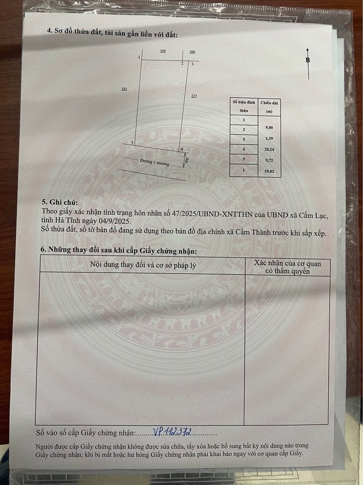 Đất nền Tân Vĩnh Cần, Cẩm Thành 150m² - Đầu tư sinh lời ngay!