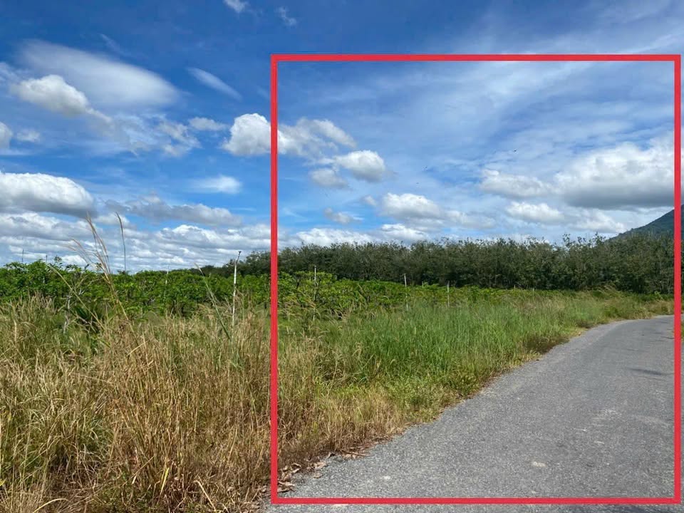 Đất nền mặt tiền đường 26-26 Bàu Năng, Dương Minh Châu 8922m² giá 5.5 tỷ - Cơ hội đầu tư hấp dẫn!