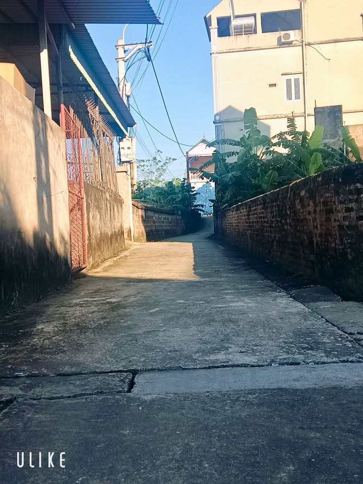 Đất nền Thư Phú, Thường Tín, 60.1m² giá 2.7 tỷ - Tiềm năng đầu tư hiệu quả!