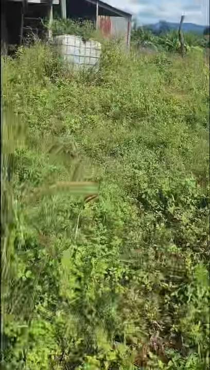 Đất nền 1,2ha tại xã Lơ Pang, Gia Lai giá 700 triệu - Cơ hội đầu tư tuyệt vời!