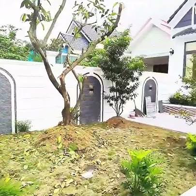 Nhà vườn Hưng Long Bình Chánh 250m² giá 3.3 tỷ - Sổ đỏ đầy đủ, thương lượng với chính chủ!