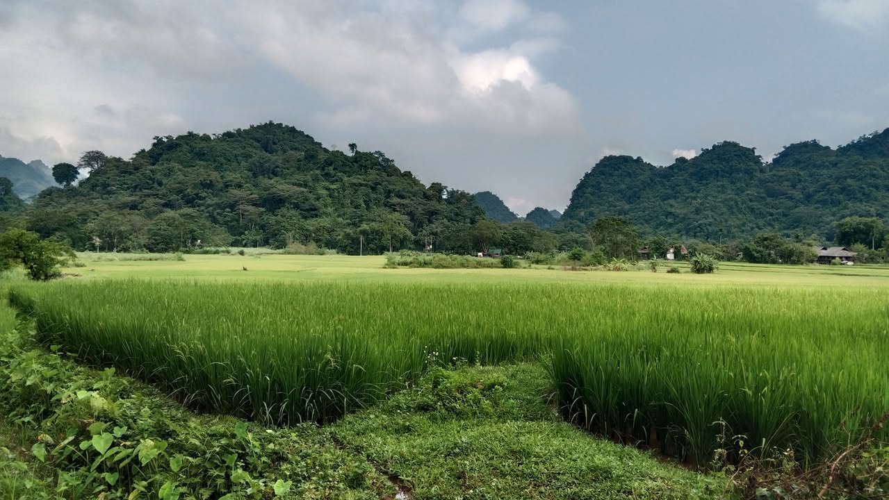 Đất nền Mường Bi, Phú Thọ 675m² chỉ 400 triệu - Sổ đỏ chính chủ, sẵn nhà bê tông!