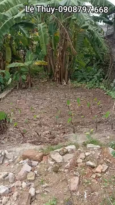 Đất nền Duy Tiên 94m² giá 1.7 tỷ - Sổ đỏ chính chủ, gần trường và chợ!