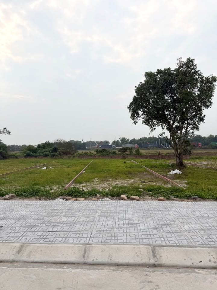 Đất nền khu 1 Hải Hoà 200m² giá thỏa thuận - Đầu tư sinh lợi ngay!