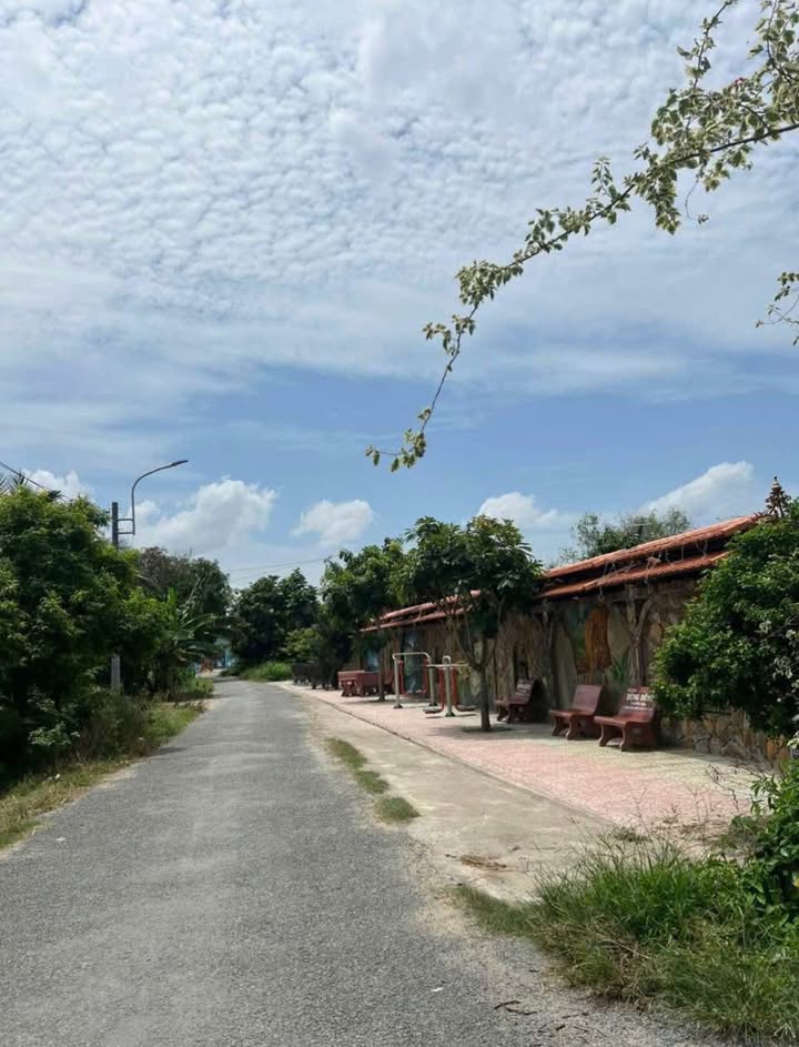 Đất mặt tiền đường Tiểu Ly, ấp Phú Hoà, 110m² giá 750 triệu - Cơ hội đầu tư hấp dẫn!