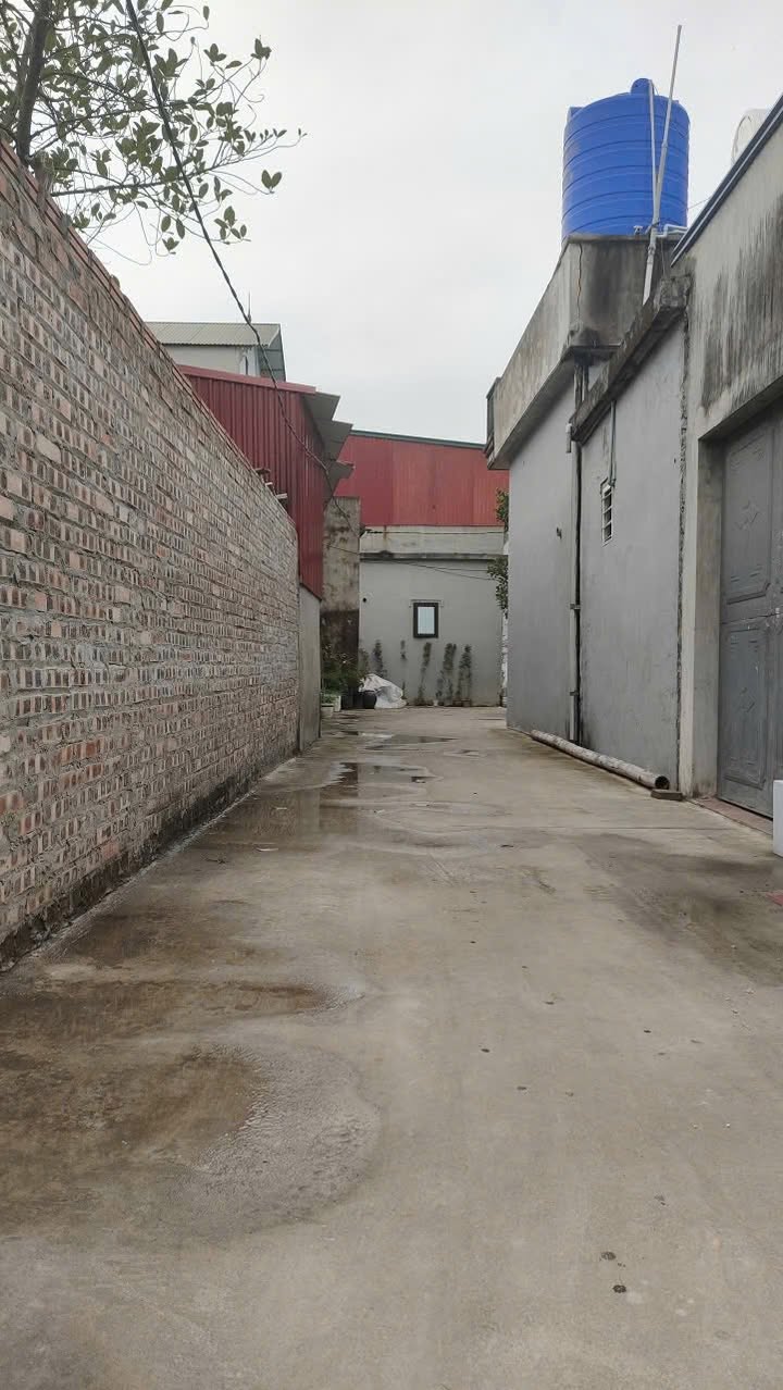 Đất nền phường Mão Điền 70m² giá 1 tỷ - Đầu tư sinh lời ngay!