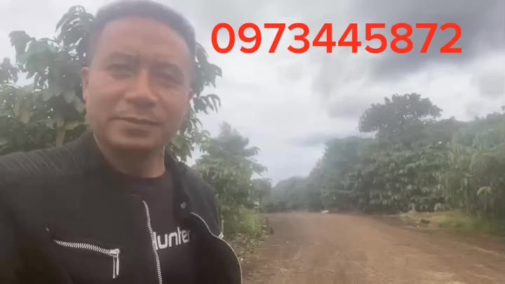 Đất nền Di Linh 3153m² giá thỏa thuận - Vị trí đẹp, tiềm năng phát triển!