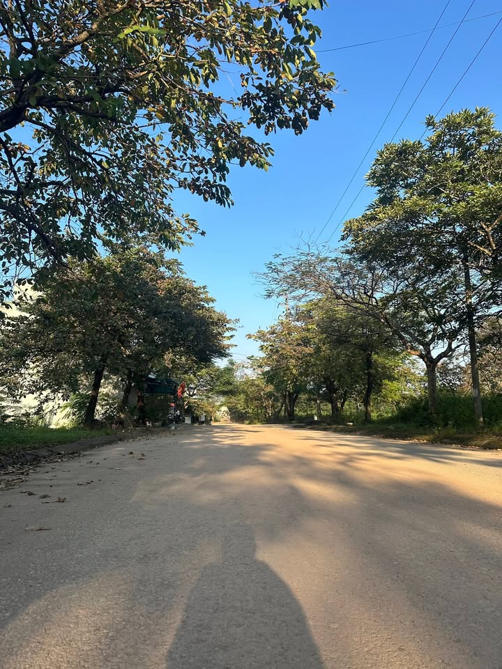 Đất nền tái định cư Phú Cát 100m² giá 4 tỷ - Cơ hội đầu tư hiếm có!