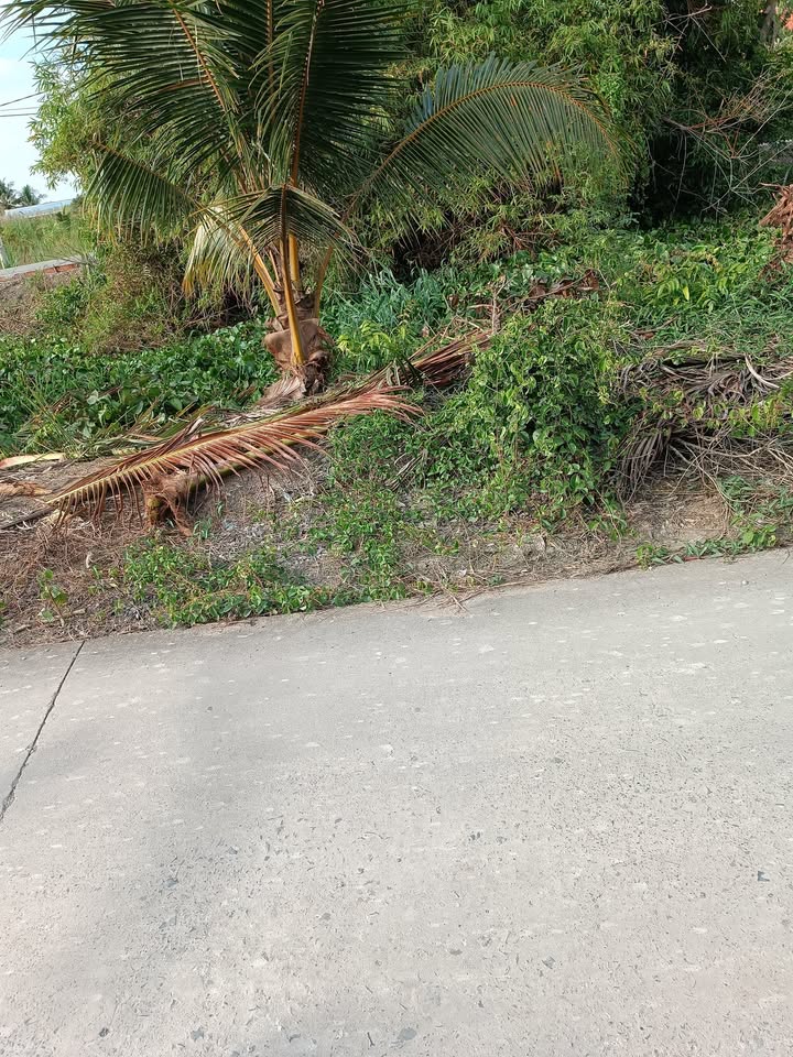 Đất nền Tân Lý Đông, Châu Thành 540m² giá 1.62 tỷ - Tiềm năng sinh lời cao!