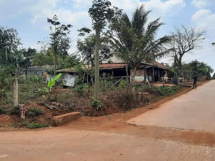 Đất nền Ea Hồ Krông Năng 350m² giá 800 triệu - Đầu tư sinh lời hấp dẫn!