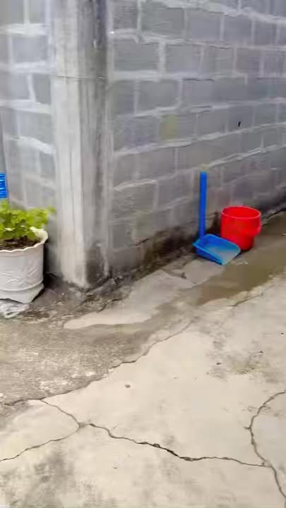 Bán nhà 102m² tại Bà Rịa - Giá chỉ 2.35 tỷ - Nhà chính chủ, tiện nghi đầy đủ!