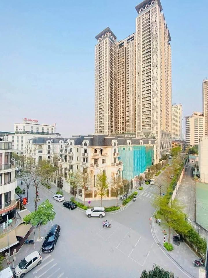 Biệt thự The Zei Mỹ Đình 267.5m² giá 105 tỷ - Pháp lý rõ ràng, an ninh tốt!