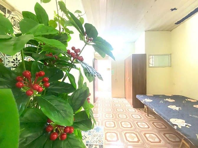 Cho thuê phòng trọ Phú Diễn 18m² giá 2.3 triệu - Không gian sống thoải mái!