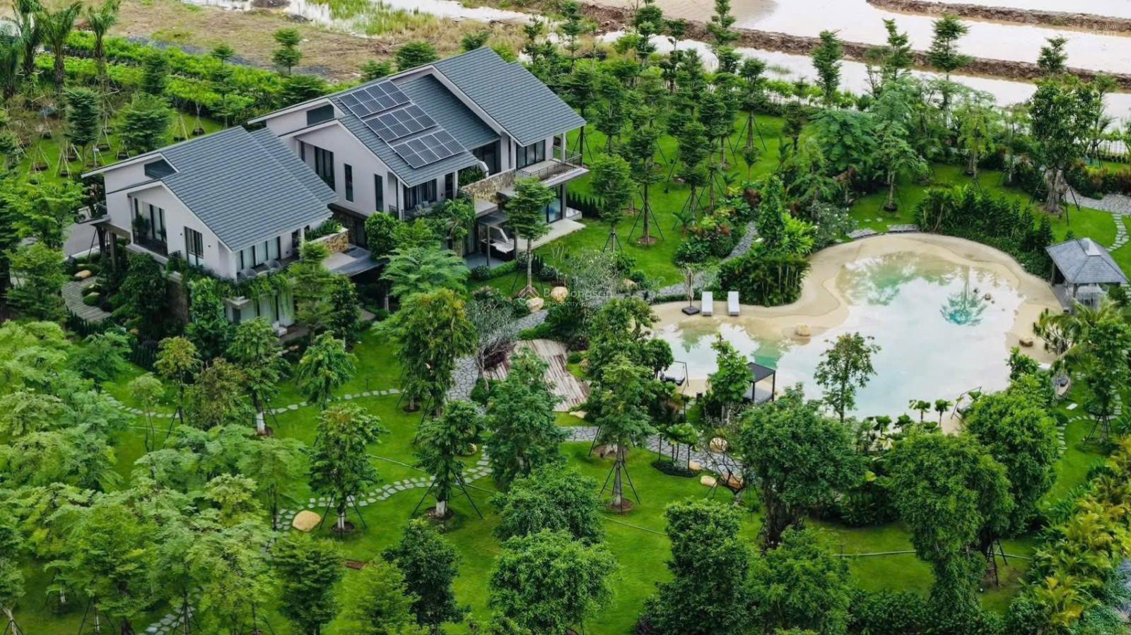 Biệt thự Rừng Retreat Forest Long An 360m² giá 28 tỷ - Sở hữu không gian sống giữa thiên nhiên!