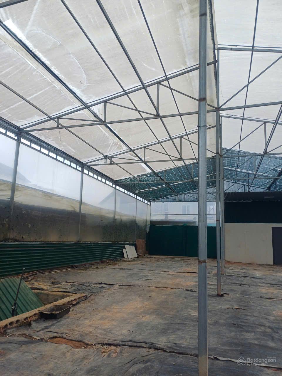 Kho xưởng cho thuê 300m² Đà Lạt - Điện nước đầy đủ, giá chỉ 8.5 triệu!