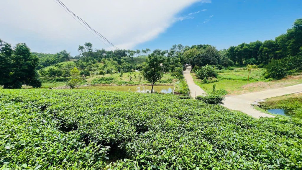 Lô đất nghỉ dưỡng Tân Thành Hòa Bình 3600m² giá chỉ 5 tỷ - Tiềm năng phát triển nổi bật!