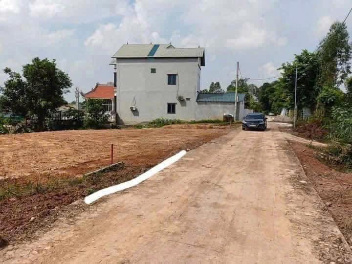 Đất nền Đạo Tú, Tam Dương 210m² giá 1.4 tỷ - Đầu tư sinh lời ngay!