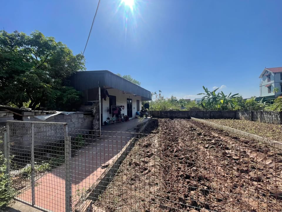 Đất nền Văn Xá, Nhị Khê 54,4m² giá chỉ 3 tỷ - Đầu tư sinh lời ngay!