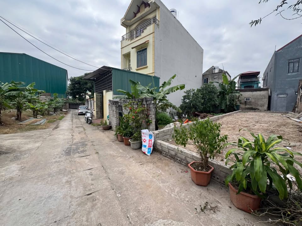 Đất nền Tự Nhiên Thường Tín 90m² - Ô tô tránh, cách chợ chỉ 100m!