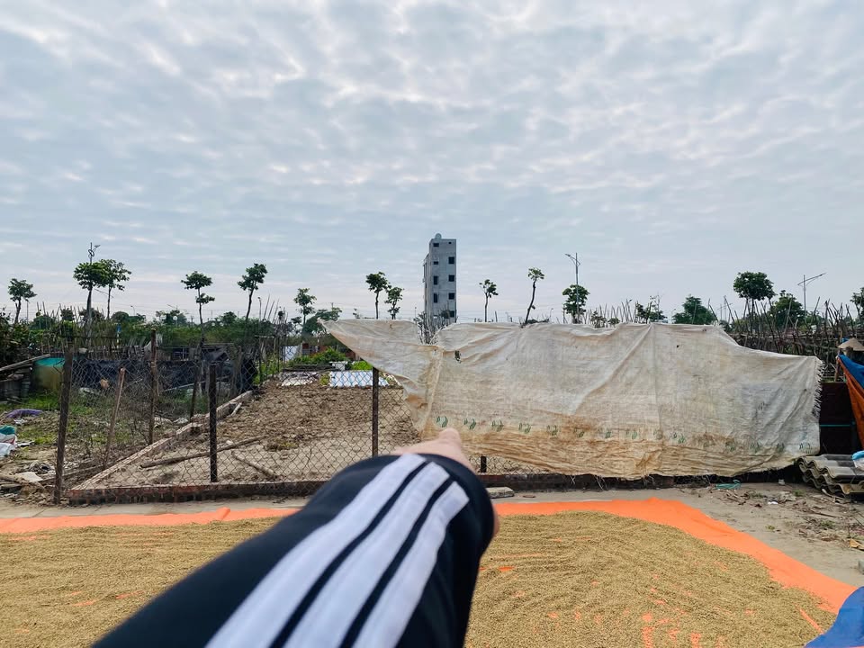 Đất đấu giá Thụy Lâm, Đông Anh 87.5m² chỉ 7.525 tỷ - Sổ đỏ chính chủ!