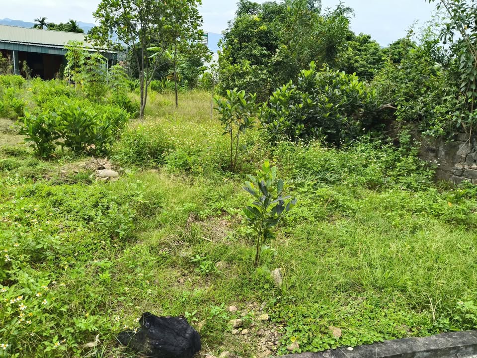 Đất nền Uông Bí 100m² giá chỉ 400 triệu - Ngõ ô tô vào tận nơi!