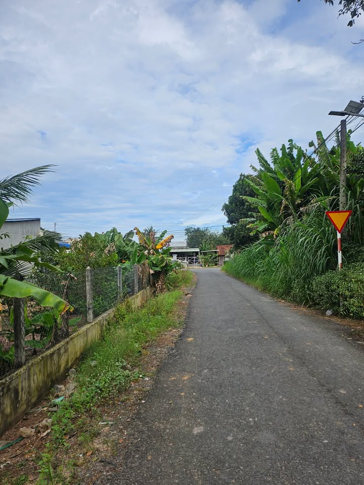 Đất thổ cư 100m² tại Thạnh An, Tân Biên - Giá chỉ 390 triệu, 2 mặt tiền!