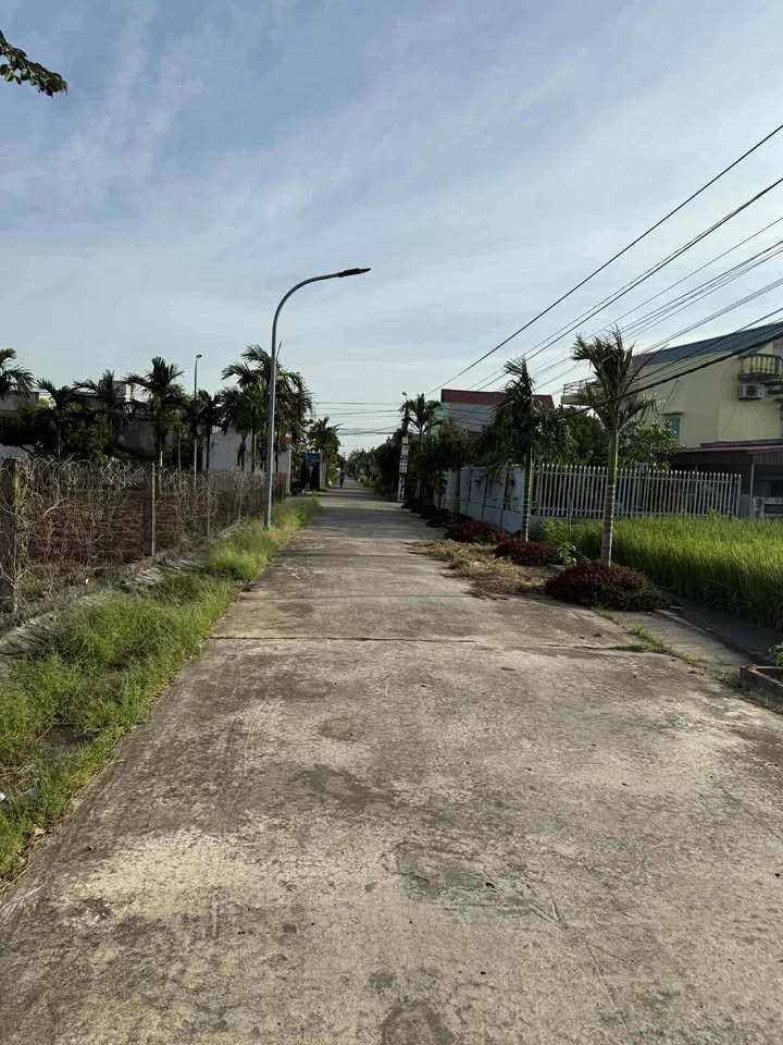 Đất liền kề Thịnh Long, Hải Hậu 110m² - Đầu tư sinh lời hấp dẫn!