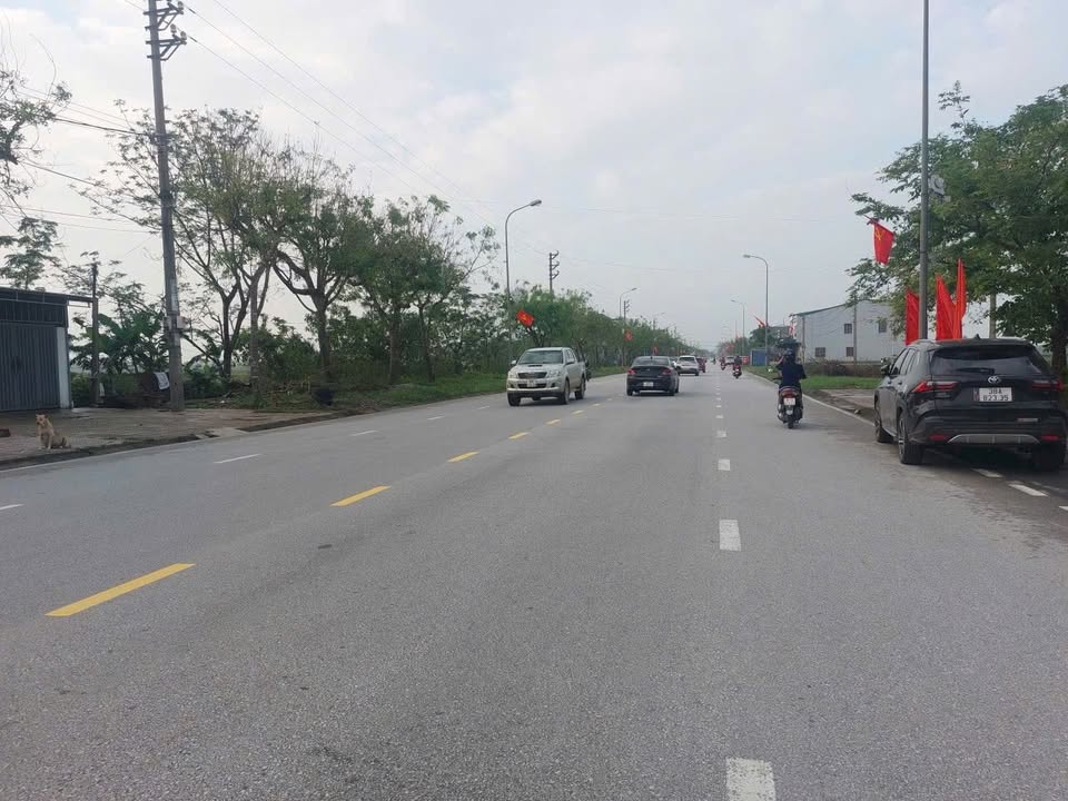 Đất kinh doanh mặt tiền đường Quang Trung, Thạch Hạ, 145m² giá 6 tỷ - Đầu tư sinh lời ngay!