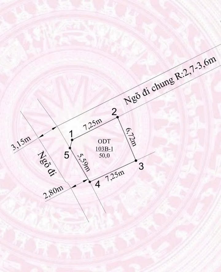 Đất nền lô góc 50m² phường Thiên Hương, giá 1.1 tỷ - Cơ hội đầu tư tốt!