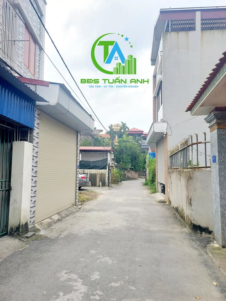 Đất nền chính chủ phường Hiến Nam, Hưng Yên 87.3m² giá chỉ 3 tỷ - Sổ đỏ đầy đủ!