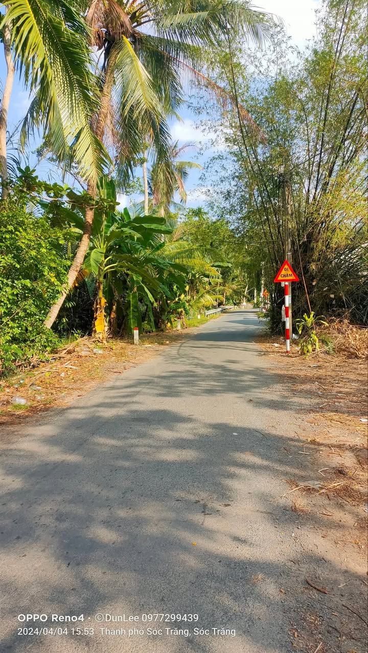 Đất nền mặt tiền đường nhựa An Hiệp, Châu Thành, Sóc Trăng 194m² giá chỉ 520 triệu - Sổ đỏ chính chủ!