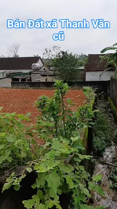 Đất nền xã Thanh Văn, Nghệ An 155m² chỉ 700 triệu - Đầu tư sinh lời ngay!