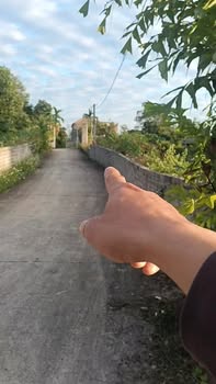 Đất nền 1000m² tại Tân Hiệp, Yên Thế - Giá chỉ 1 tỷ VND, cơ hội đầu tư lý tưởng!