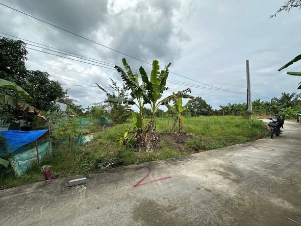 Đất thổ cư Nhơn Nghĩa, Phong Điền 156m² giá chỉ 590 triệu - Vị trí sáng đẹp!