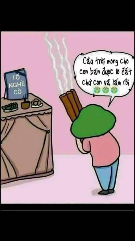 Đất Farm 4ha tại Bắc Bình, Bình Thuận giá chỉ 1.5 tỷ - Sổ đỏ chính chủ!