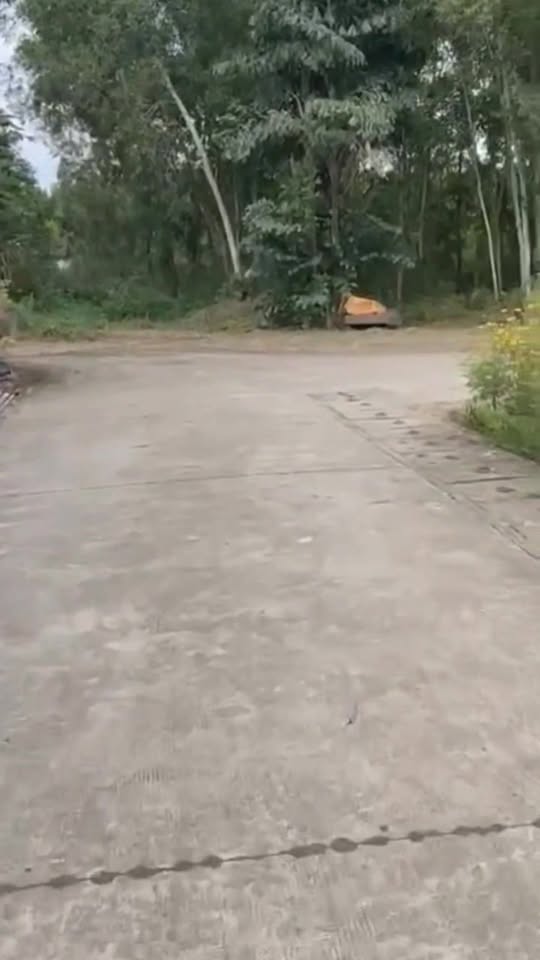 Đất nền 365m² ấp Vũng Gấm, xã Phước An giá 2.1 tỷ - Đầu tư sinh lời ngay!