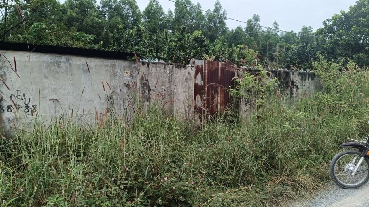 Nhà vườn Tân Bình Vĩnh Cửu 1300m² giá 3.8 tỷ - Không gian xanh lý tưởng