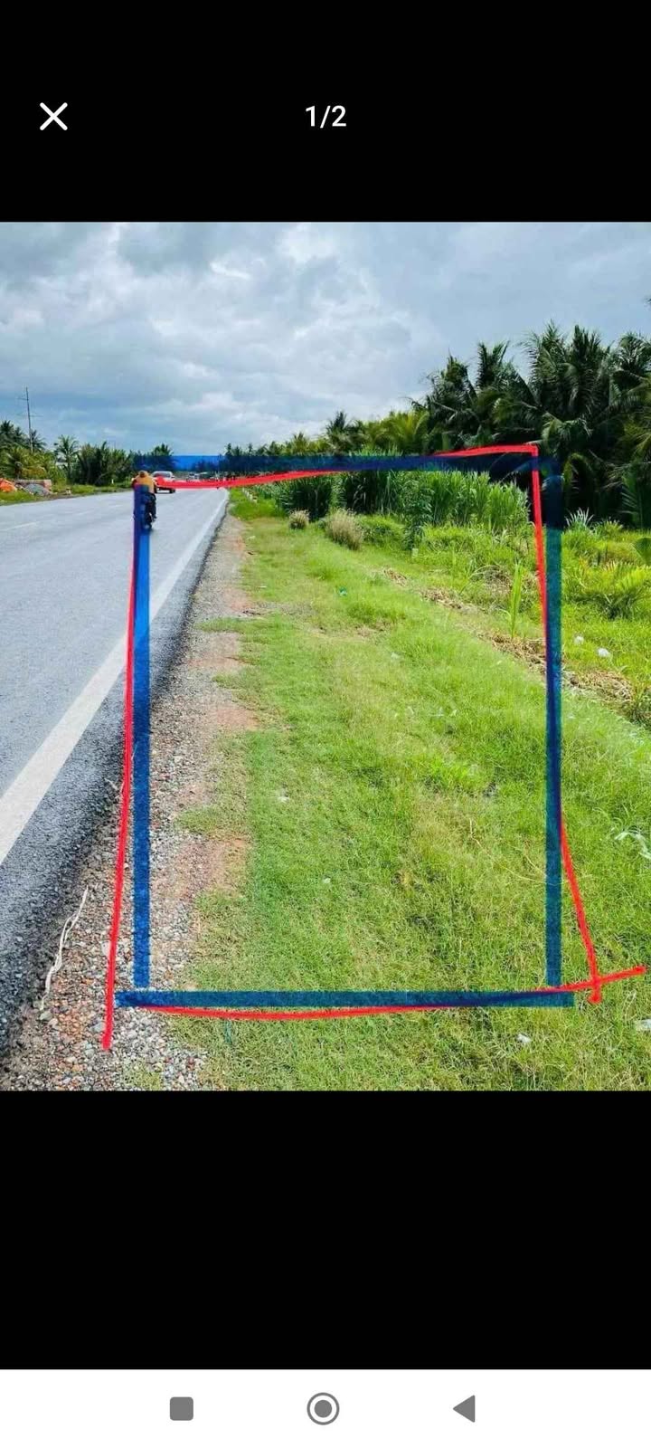 Đất thổ cư Hòa Lộc Mỏ Cày Bắc 3500m² giá 2.8 triệu - Cơ hội đầu tư tuyệt vời!