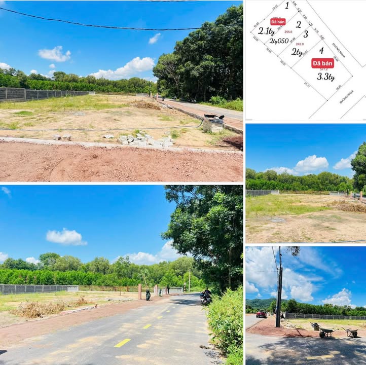 Đất nghỉ dưỡng biển Phước Hải, Bà Rịa - Vũng Tàu 255m² giá 2.05 tỷ - Không gian yên tĩnh lý tưởng!