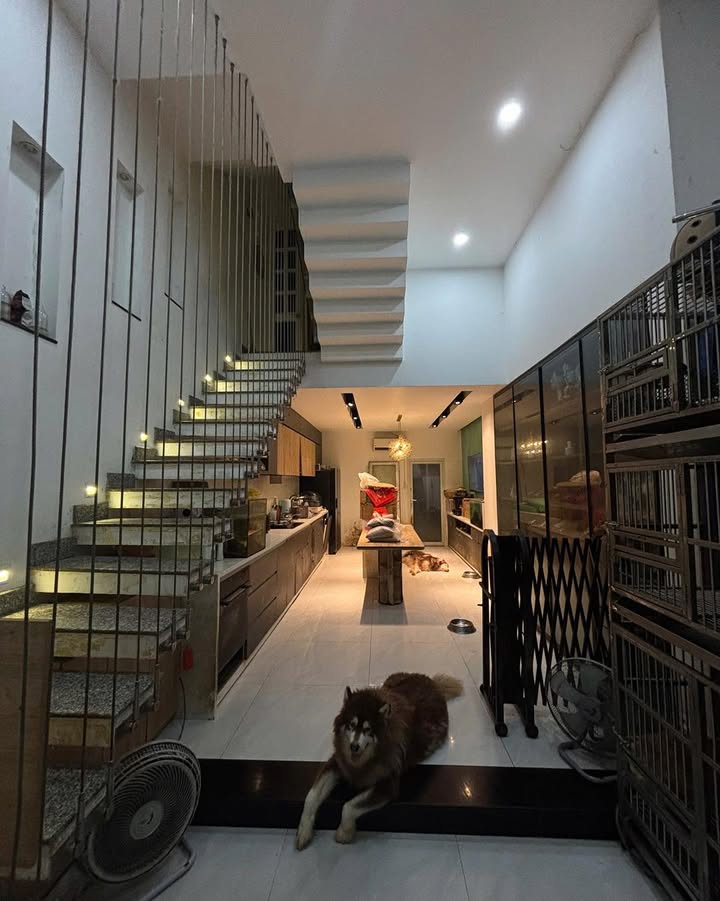 Nhà đẹp 57m² tại Nguyễn Văn Đậu, Bình Thạnh giá 13 tỷ - Nội thất cao cấp, vào ở ngay!